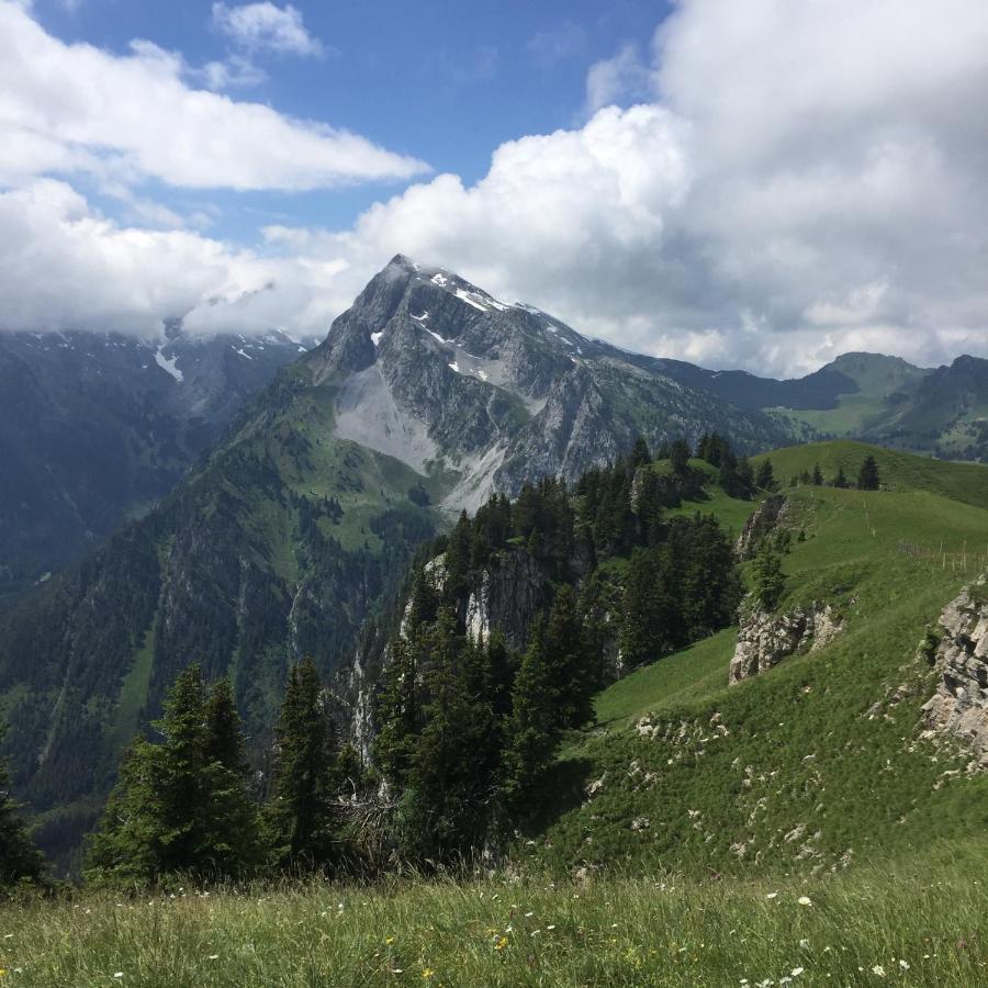 Gasthof Hirschen Oey Esterno foto